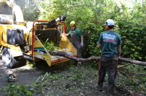 tree services Post Falls